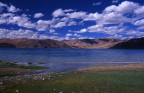 pangong tso