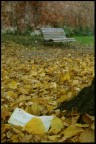 Addio.. Addio..