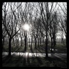 ... (dedicata a Belgarath)