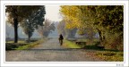 verso casa verso casa