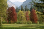 Paesaggio Paesaggio