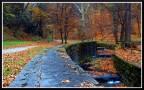 Pace nel Parco Pace nel Parco