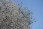 il freddo sta arrivando.... il freddo sta arrivando....
