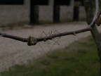 ...spider... ...spider...