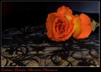 Pasione Flamenca Pasione Flamenca