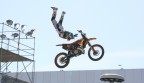 Free Style Free Style