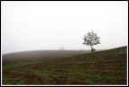 .....in the fog..... .....in the fog.....