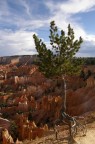 Bryce Canyon USA
Olymous SP 550