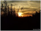 Tramonto sul canneto