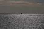a pesca a pesca