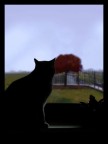 Silhouette pensierosa