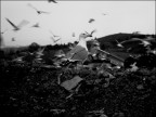 DISCARICA