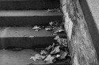 Autunno Autunno