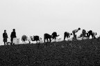 uomini al lavoro uomini al lavoro