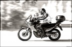 Easy rider... Easy rider...