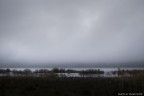 al calare della nebbia al calare della nebbia