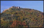 Montegiovi novembrino