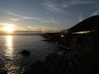 nervi nervi