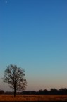 Puntando Verso il Cielo Puntando Verso il Cielo