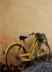 Giallo Giallo