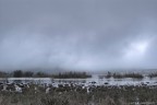 atmosfera atmosfera