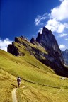 Alpe di Seceda