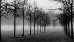 inverno inverno
