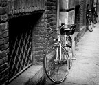 bici bici