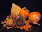 ..ancora natura morta..