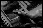 Il tempo che passa Il tempo che passa