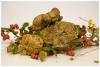 Tartufo bianco Tartufo bianco