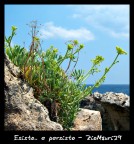 ..Esisto..e Persisto..