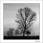 Andante,con sentimento