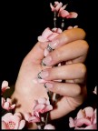 NAILS NAILS