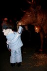 Questa mucca non mangia Questa mucca non mangia