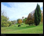 volterra volterra