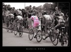 Maglia rosa