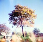 Scattata con Yashica Mat 124 G 
su pellicola Kodak Ektachrome 160 scaduta da 11 anni.