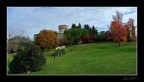 volterra...altro punto di vista