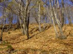 Autunno 5 Autunno 5