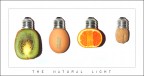:: LUCE :: :: LUCE ::