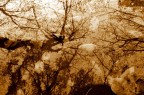 magia d'autunno... magia d'autunno...