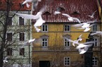 praga praga
