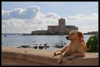 Il guardiano Il guardiano