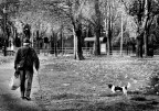 immagini di citta' immagini di citta'