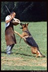 Attacco...stai attento!!! Attacco...stai attento!!!