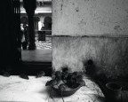 Rat Temple Rat Temple