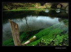 Il fiume Il fiume