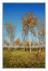 Luce e colori d'autunno Luce e colori d'autunno