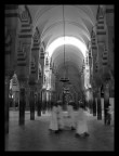 mezquita mezquita